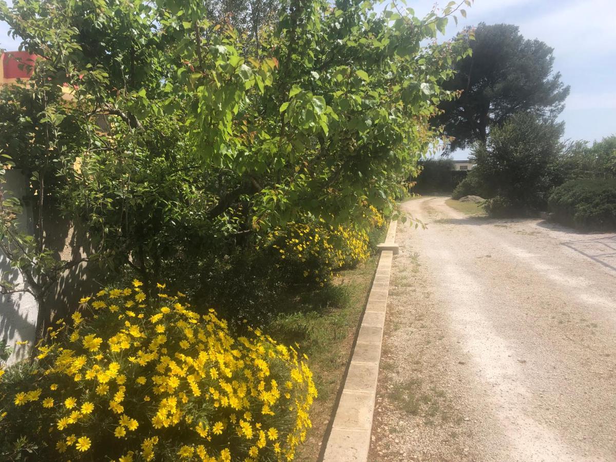 Mazzara Farm 3* Manduria
