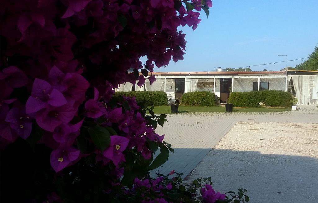 Mazzara Farm